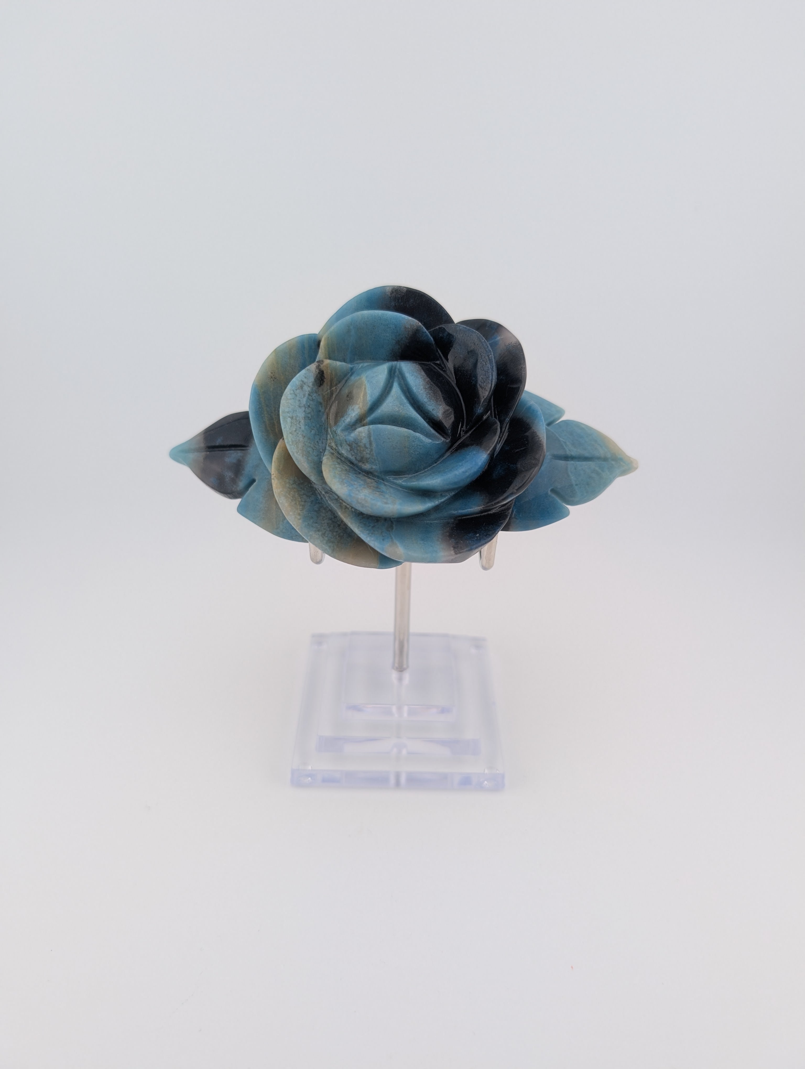 Troilit Blume