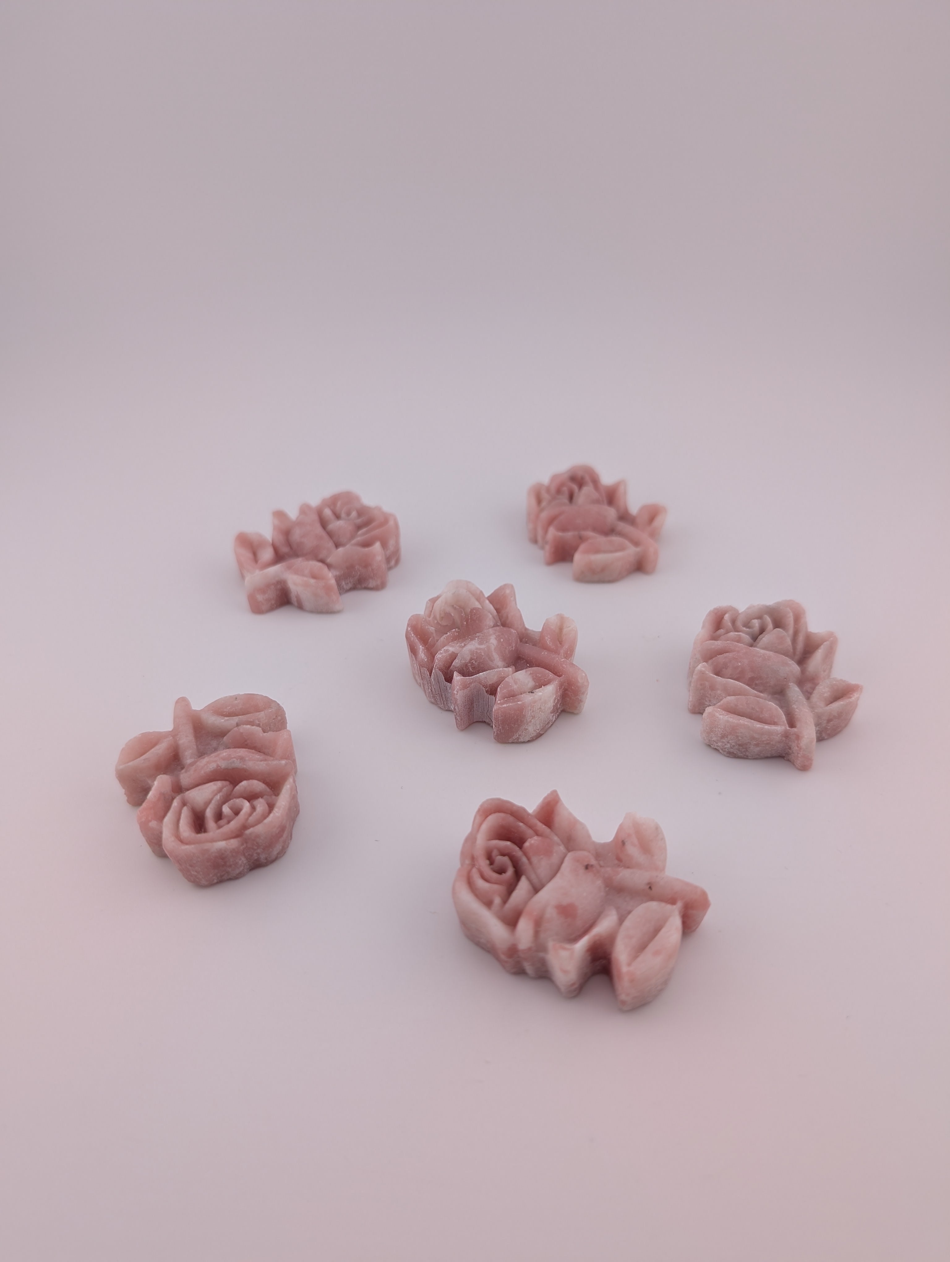 Pinker Opal Rose