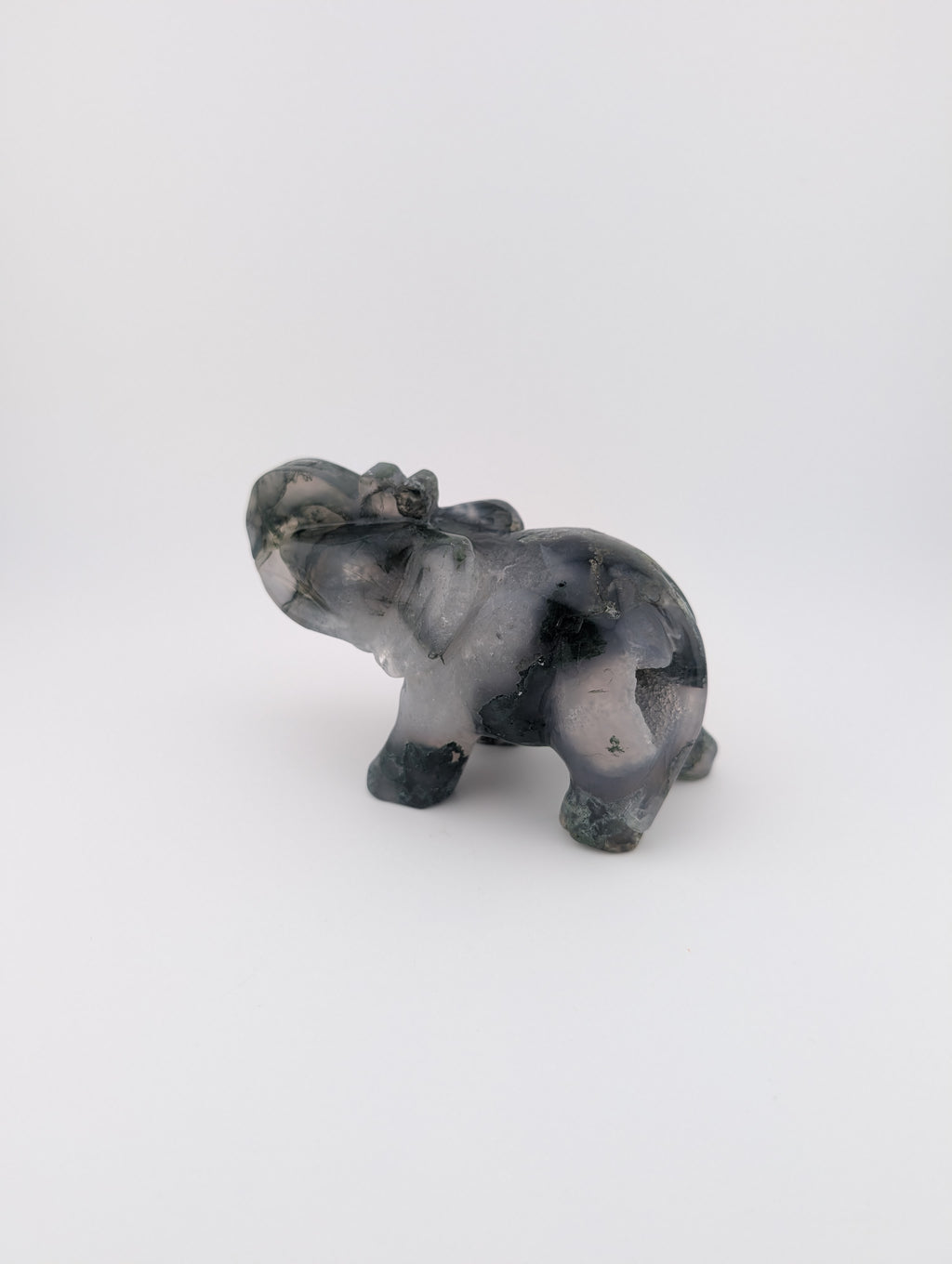 Moosachat Elefant