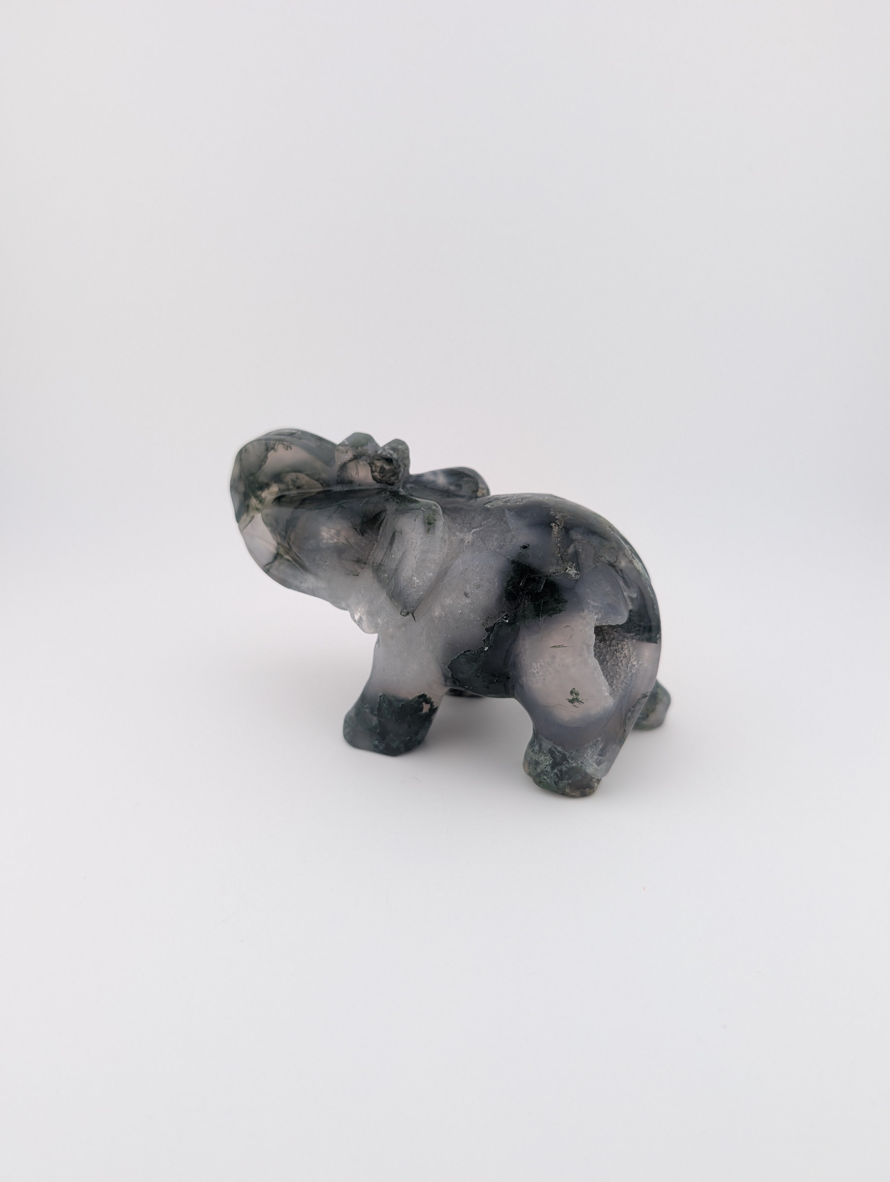 Moosachat Elefant