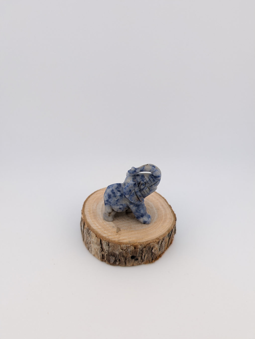kleiner Elefant
