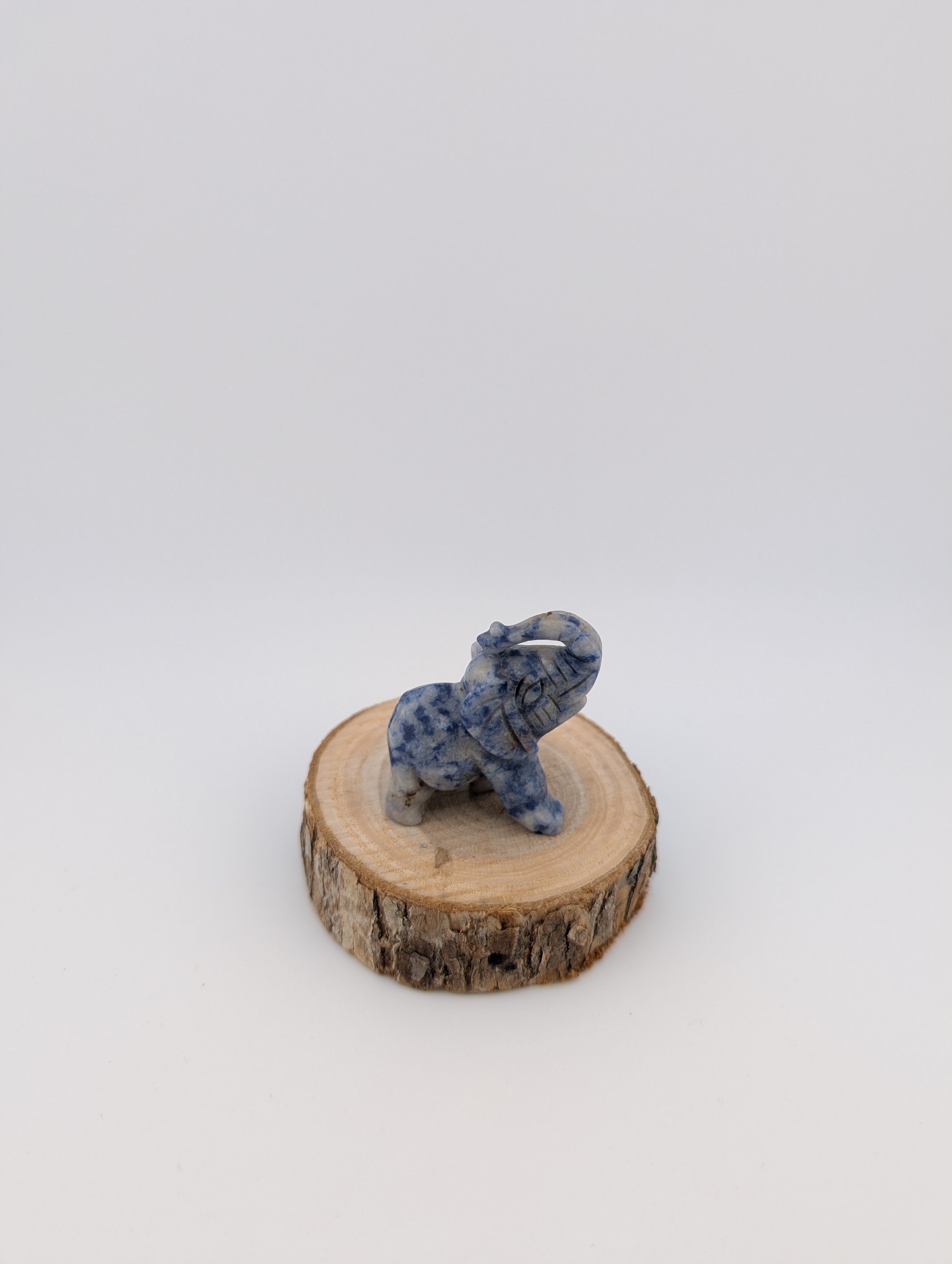 kleiner Elefant