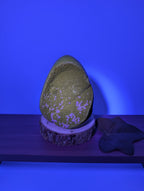 Septarien Freiform