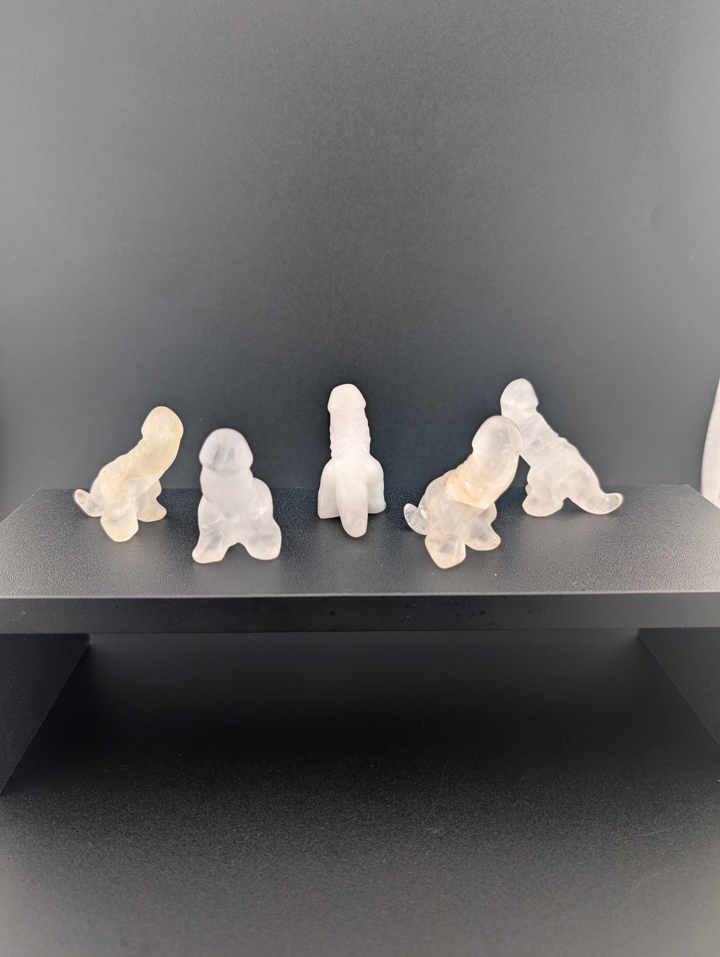 Mystery Dino-Penis 18+