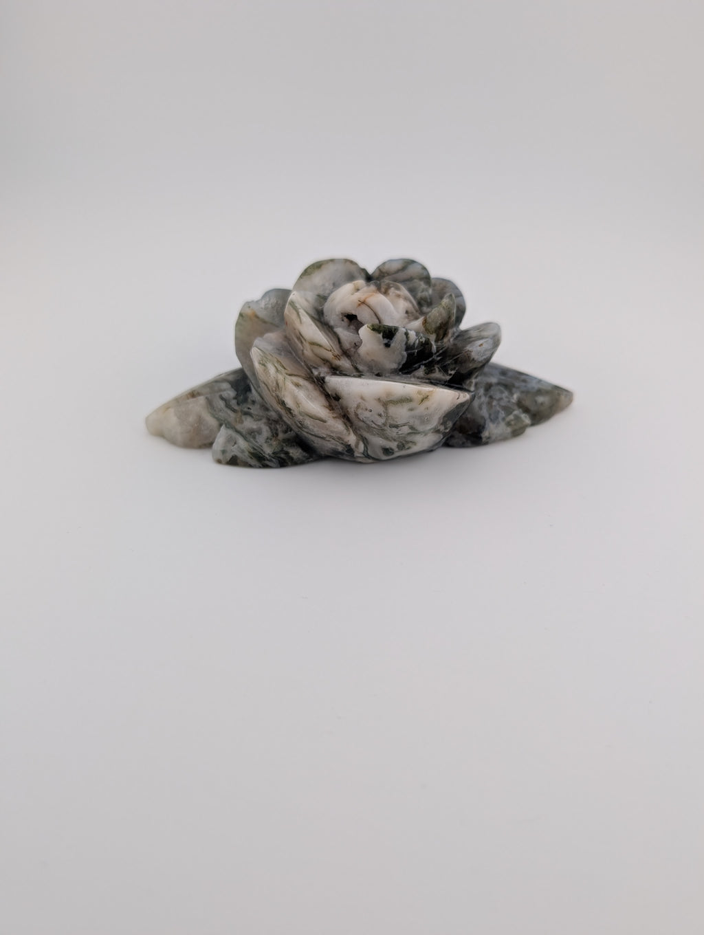 Moosachat Blume