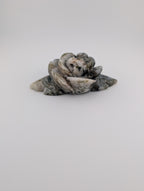 Moosachat Blume