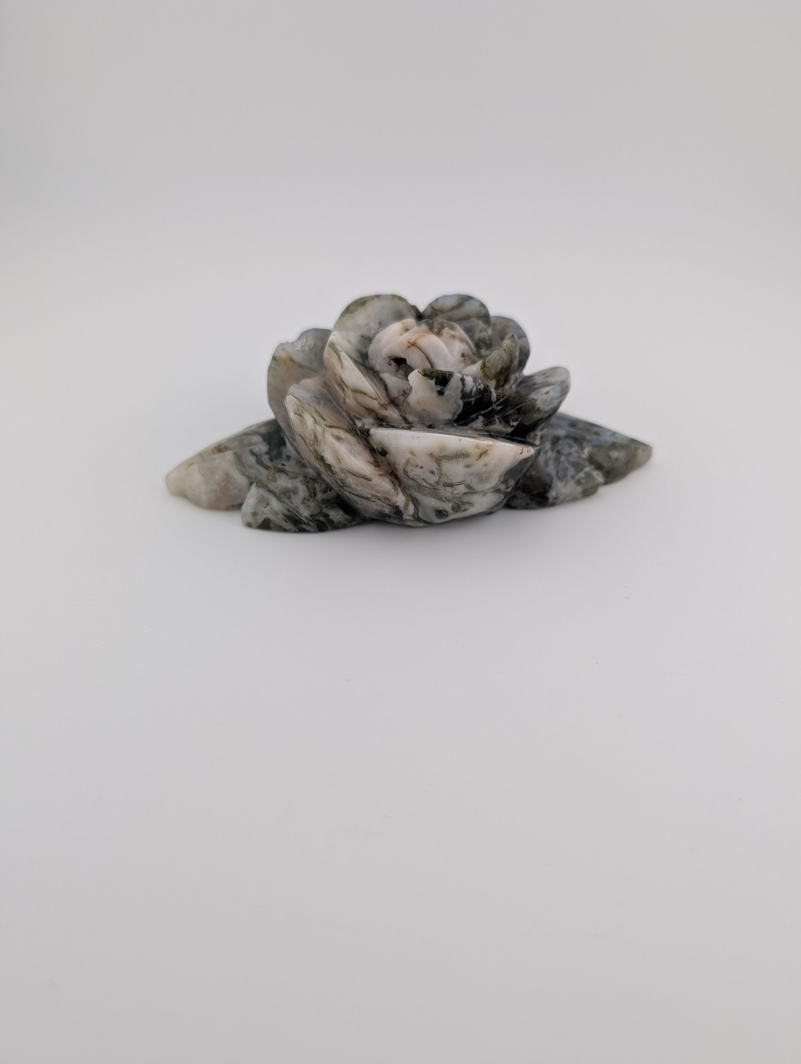 Moosachat Blume