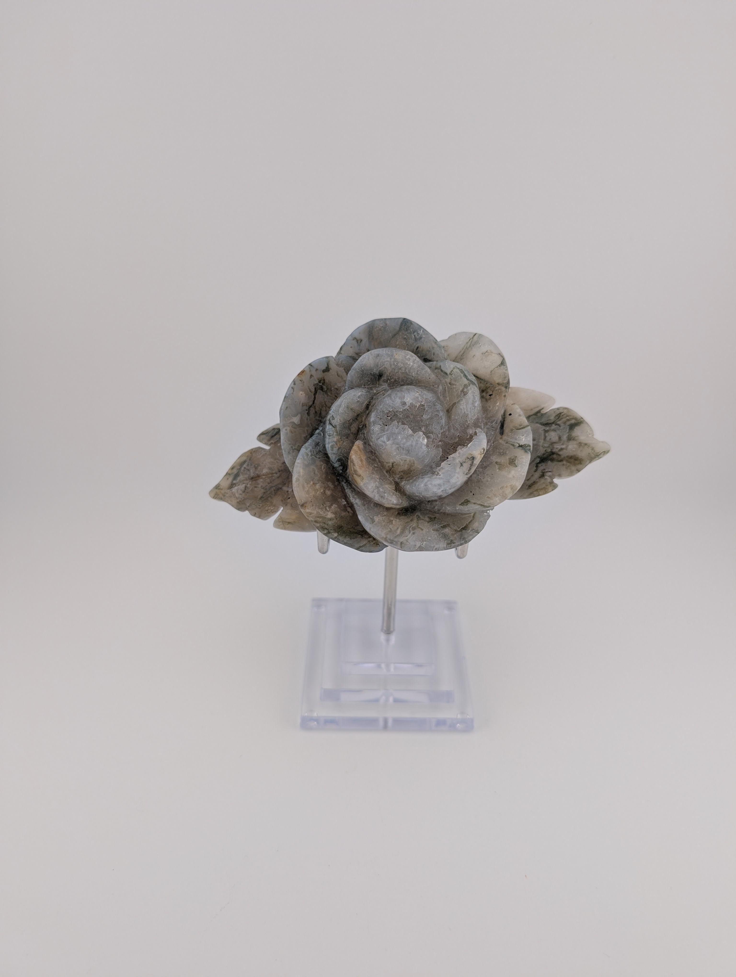 Moosachat Blume
