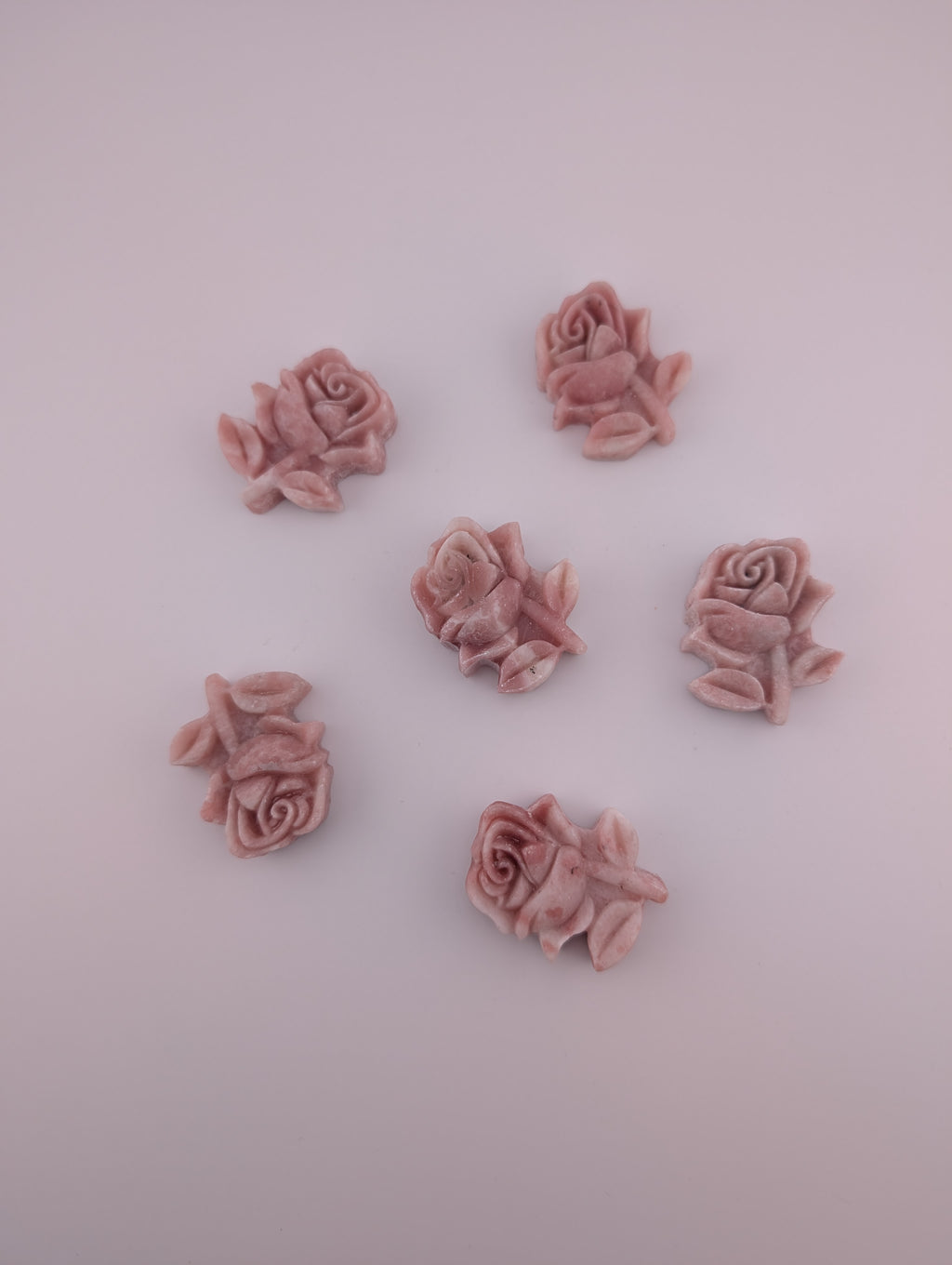 Pinker Opal Rose