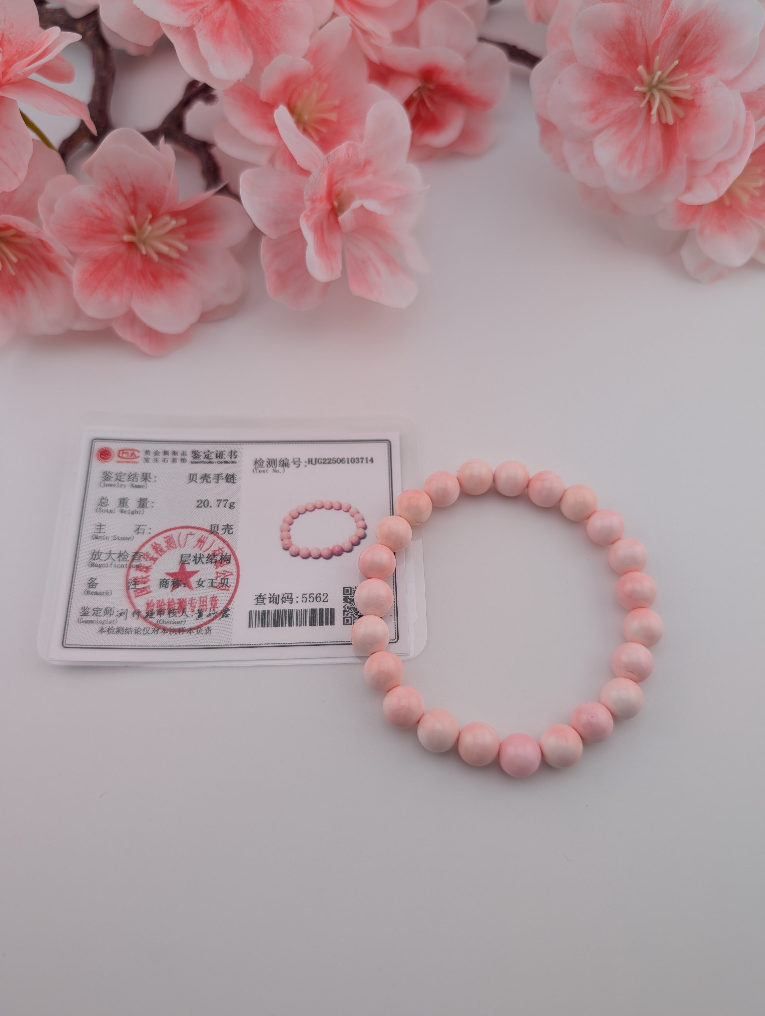 Queen chonch Shell Armband