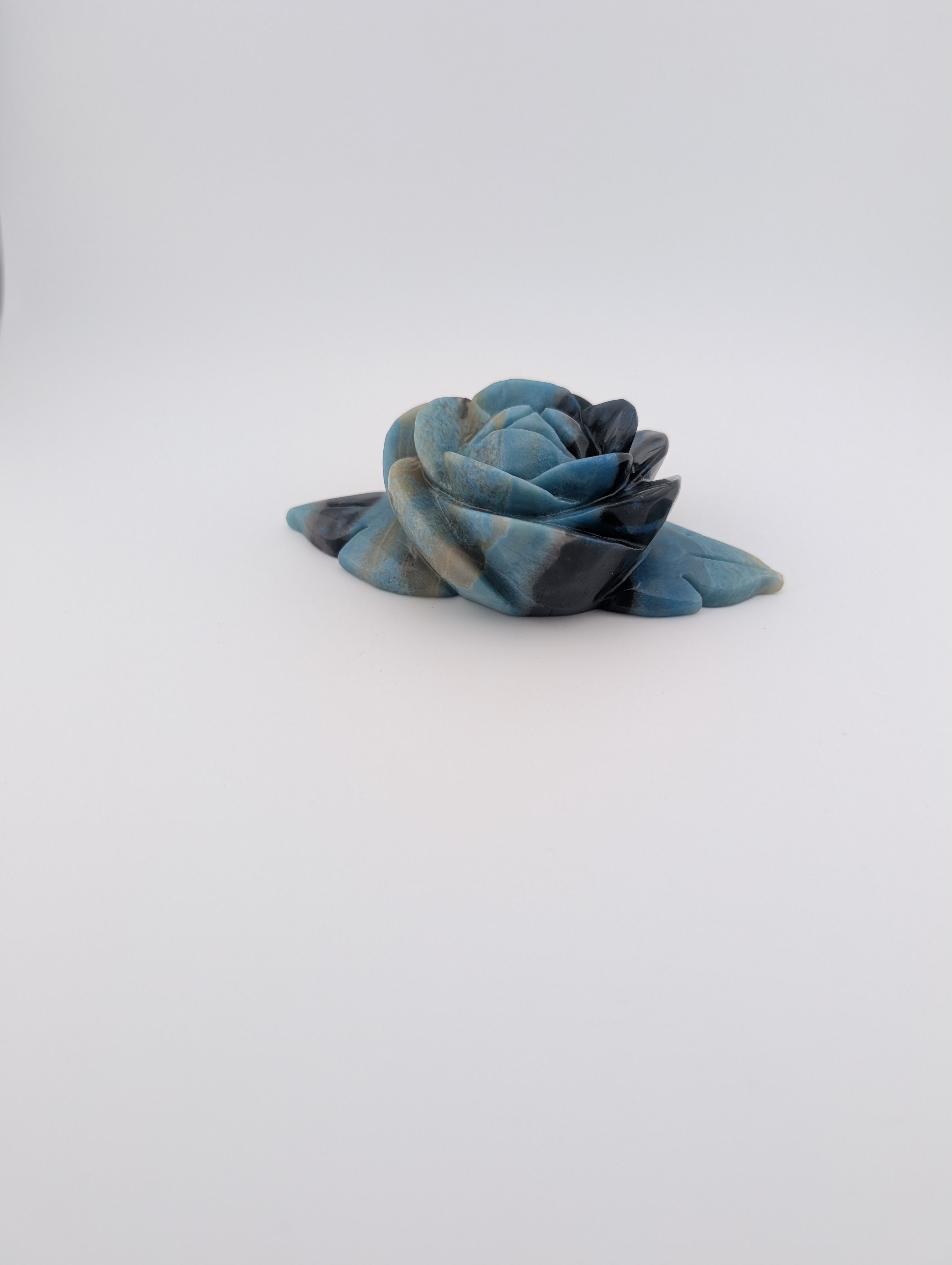Troilit Blume