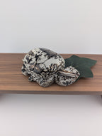 Bilder Jaspis Schildkröte
