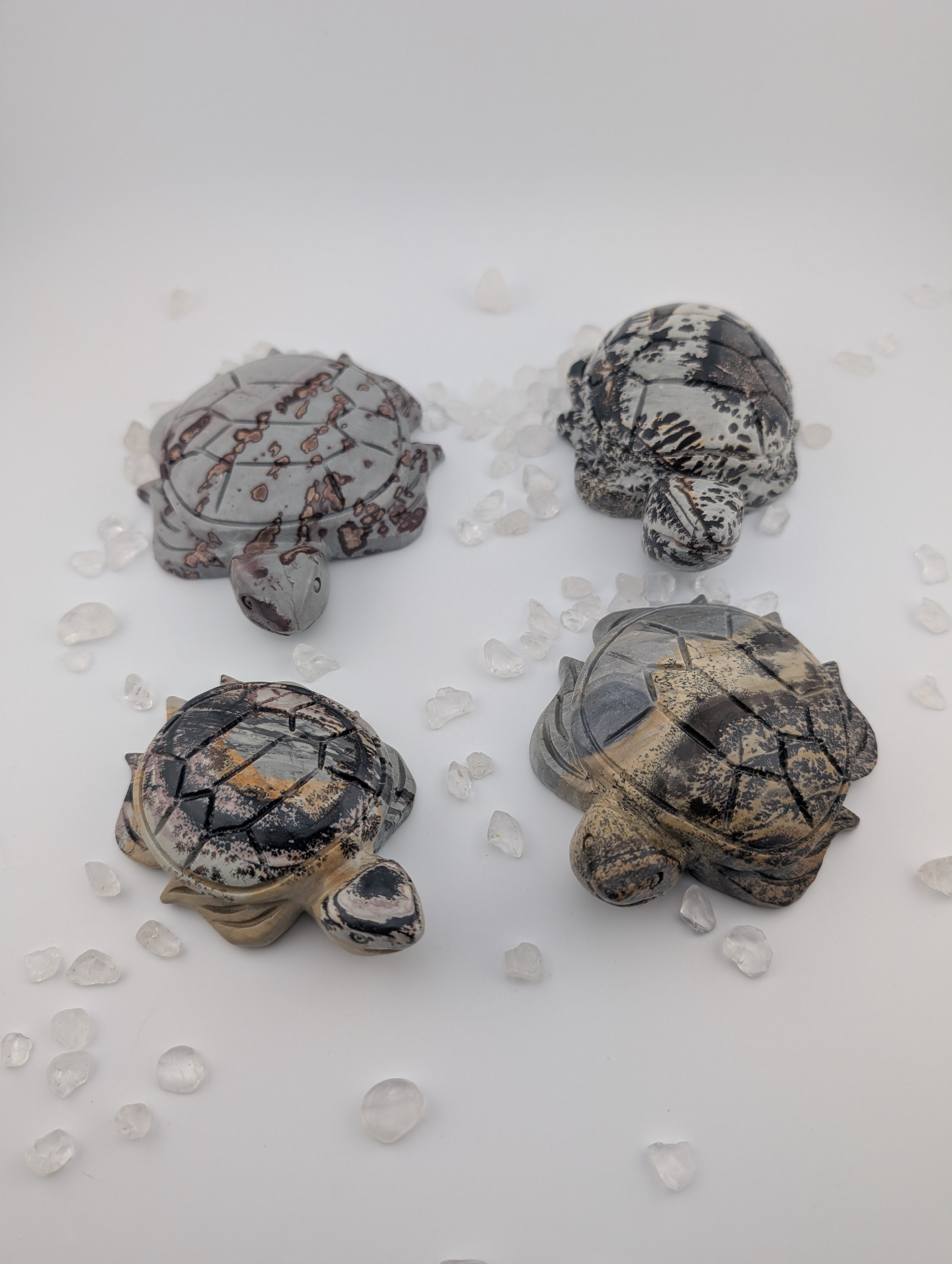 Bilder Jaspis Schildkröte