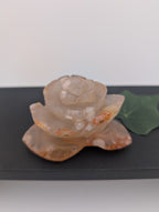 Blumenachat Blume
