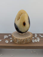 Septarien Eier