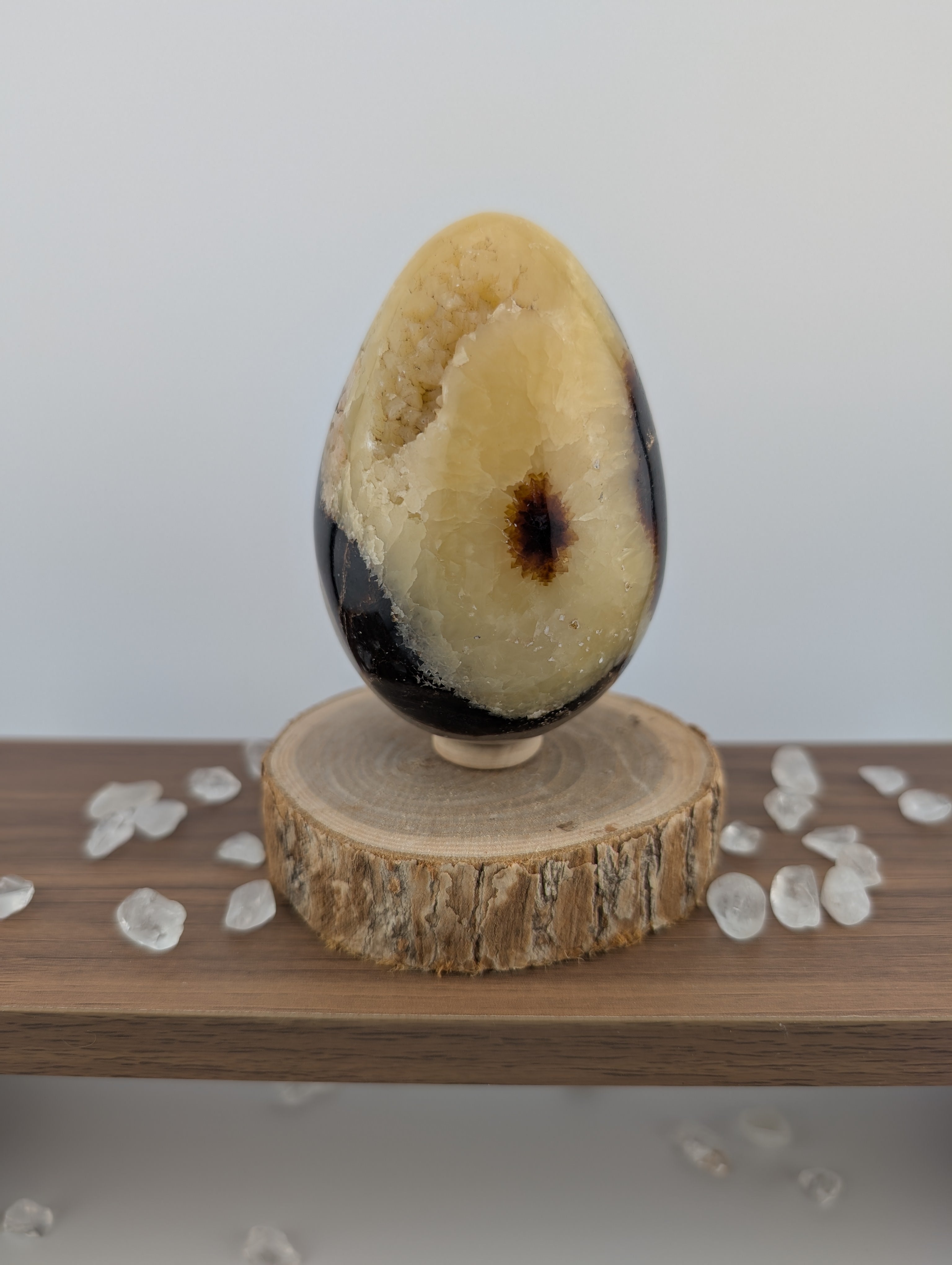 Septarien Eier