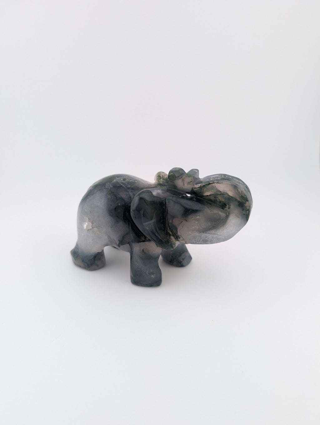Moosachat Elefant