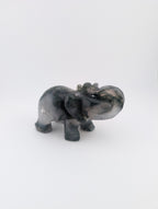 Moosachat Elefant