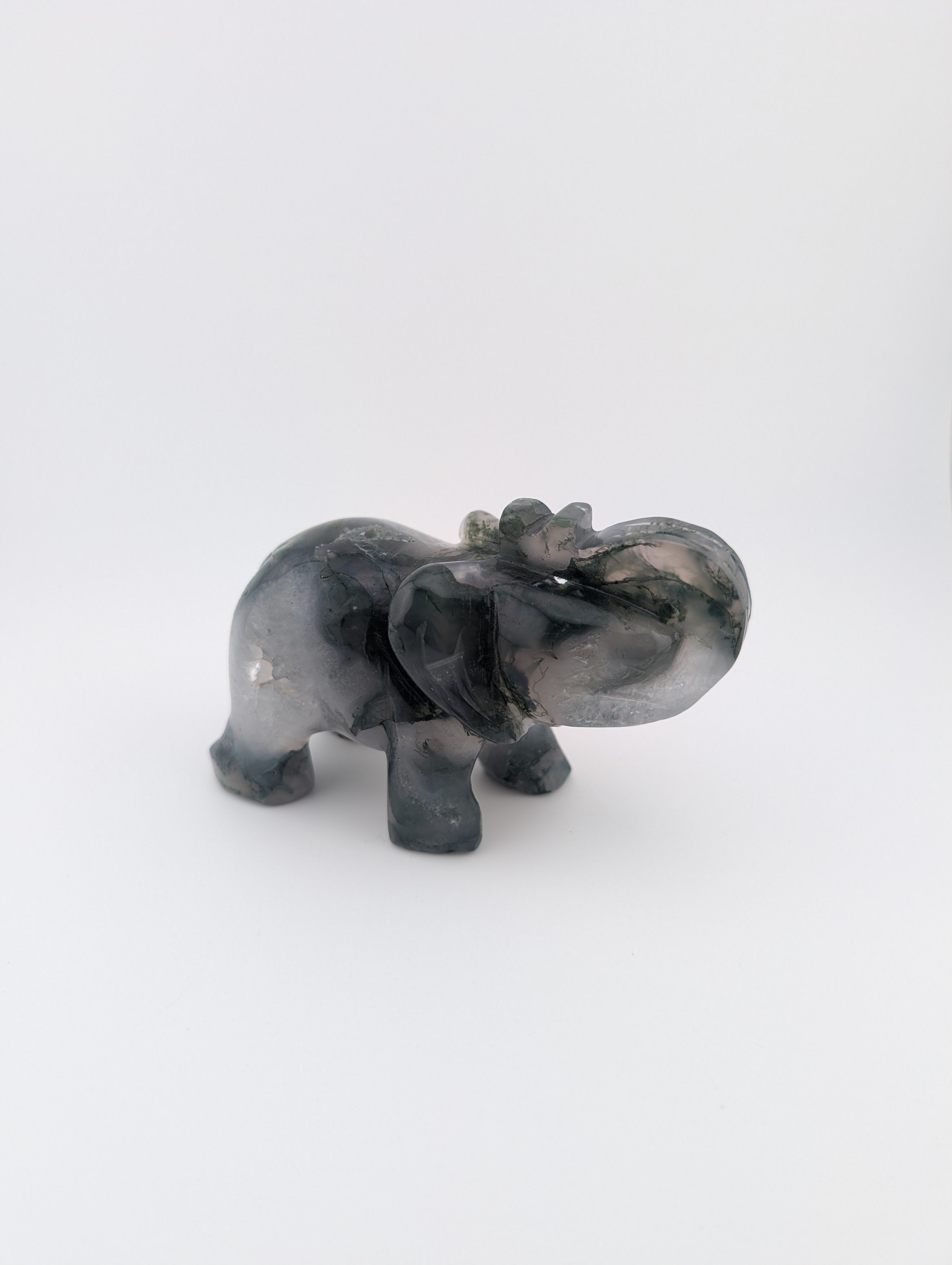 Moosachat Elefant