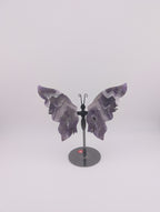 Traum Amethyst Schmetterling