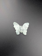 kleiner Schmetterling