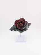 Afrikanischer Blutstein Blume